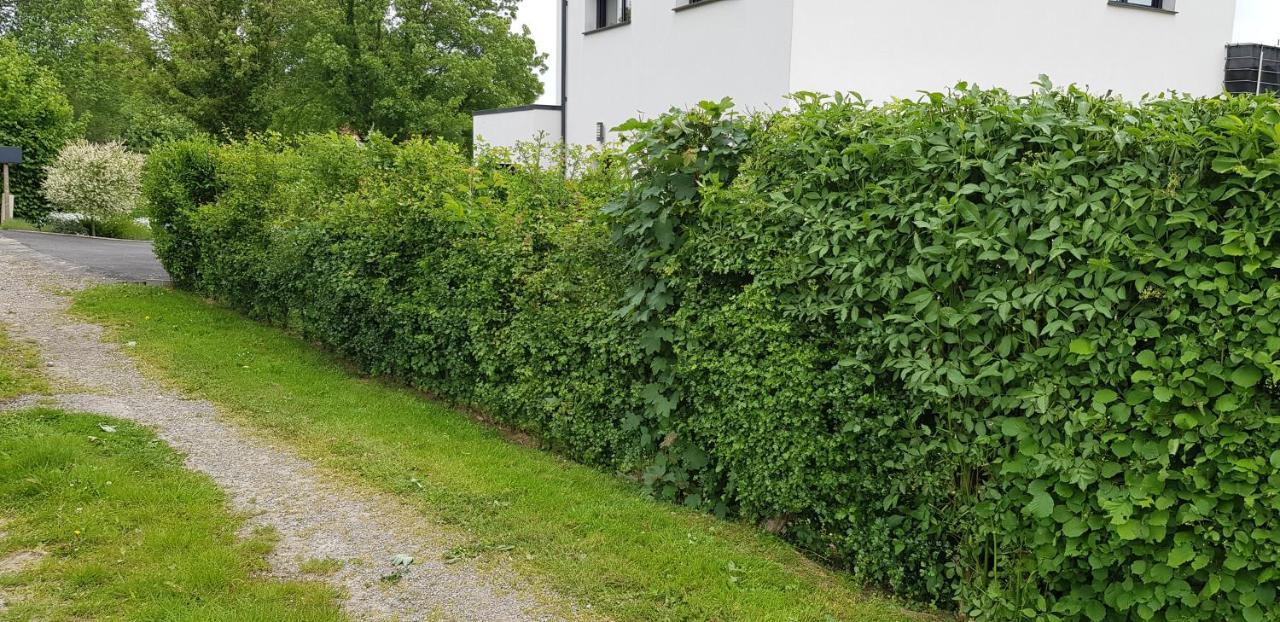 Maison Moderne A La Campagne Bezinghem Dış mekan fotoğraf